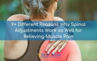 9 Different Reasons Why Spinal Adjustments Work so Well for Relieving Muscle Pain